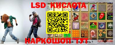 дурь Камышлов