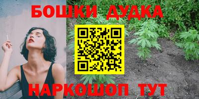 дурь Камышлов