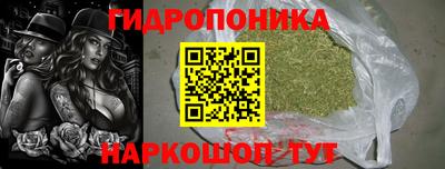 спиды Кандалакша